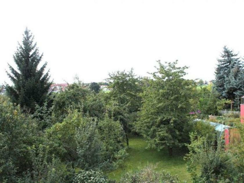 Exklusive Ferienwohnung An Der Elbe Dresden Exterior foto